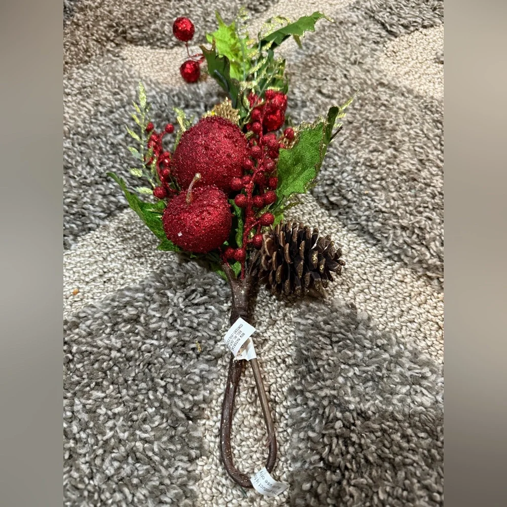 Pier 1 Rustic Twig Star & Snowflake Ornaments Michaels Fruit Pick Set of 5
